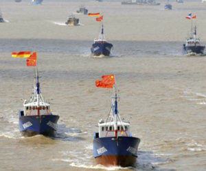 Tàu cá Trung Quốc đánh bắt đến mức "cá đẻ không kịp"