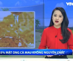 Cà Mau đề nghị chính phủ xử lý vụ đăng tin về "mật ong pha nước đường"