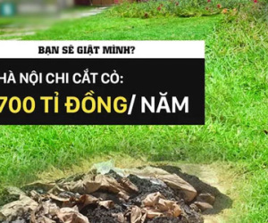 Cỏ ở Hà Nội quý hơn cỏ ở… Bắc Kạn, rác ở Hà Nội kém xa rác ở… Hà Tĩnh