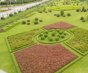 Đã phát hiện đơn vị liên quan đến việc cắt cỏ tốn 53 tỷ đồng/năm