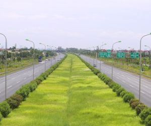 Đại lộ có chi phí cắt cỏ khiến "nhiều người giật mình"