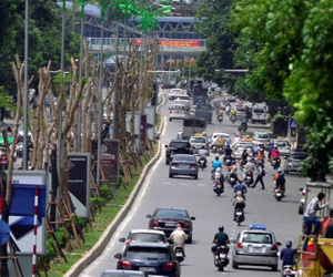 Bắt tay rà soát, Hà Nội giảm được 40% kinh phí cắt cỏ