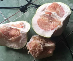 Tình chị dâu em chồng sứt mẻ nghiêm trọng chỉ vì "con người yêu anh trai"... không biết gọt bưởi