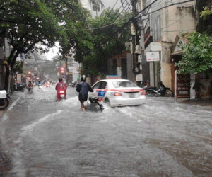 Hà Nội: 3 người bị thương, 100 cây xanh bị đổ trong cơn bão số 3