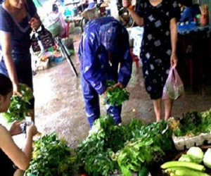 Hà Nội: Giá rau xanh tăng 50% trước cơn bão số 3