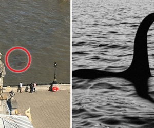 "Quái vật hồ Loch Ness" bị bắt gặp xuất hiện trên sông Thames?