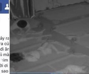 Tá hỏa thấy bé bắt chước “chuyện người lớn” khi xem camera nhà trẻ