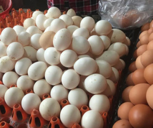 Bí ẩn nguồn gốc trứng gà ta giá rẻ bán đầy chợ