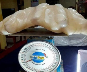 Khối ngọc trai khổng lồ 34 kg trong nhà ngư dân Philippines