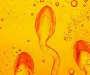 Lợi ích không ngờ của tinh dịch