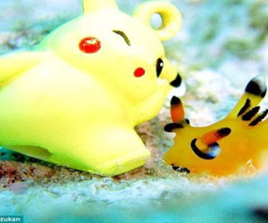 Sên biển giống hệt Pikachu gây sốt ở Nhật