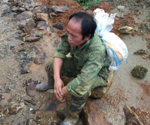 Phu vàng náo loạn trốn khỏi thung lũng chết Mà Sa Phìn