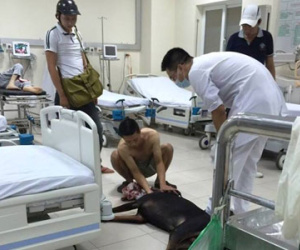 Chó Dorbeman bị đâm xuyên cổ đã chết sáng nay