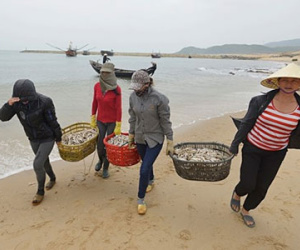 Ngư dân miền Trung được mời họp để xin ý kiến