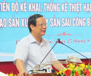 Bộ Nông nghiệp nêu 4 phương án khai thác cá biển sau sự cố Formosa