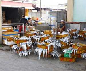 Ngư dân không nên đánh bắt cá ở 3 vùng nước xoáy và tầng đáy