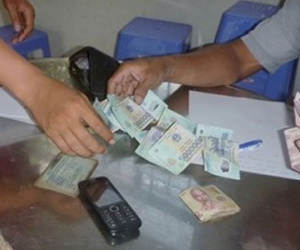 Hàng chục người vây quanh sới gà trong vườn dừa ở miền Tây