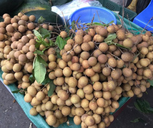 Sự thật loại nhãn khổng lồ, vỏ vàng bóng tràn khắp chợ