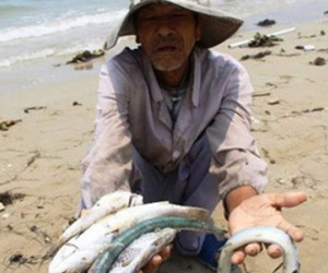 Formosa đã chuyển đủ 500 triệu USD bồi thường vụ cá chết