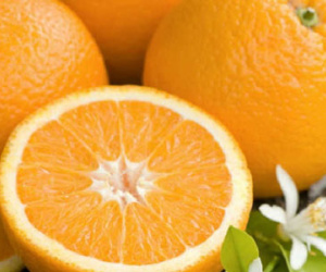 Món ăn giúp tăng ham muốn phòng the