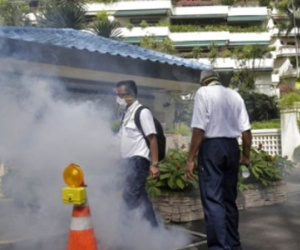 Mỹ và Hàn Quốc ban hành cảnh báo đi lại tới Singapore do dịch Zika
