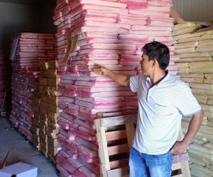 Quảng Bình: Thị trường cá biển đóng băng, nhiều doanh nghiệp điêu đứng