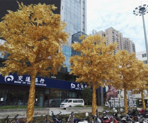 Ảnh bìa bài viết 389071