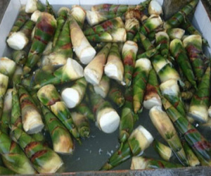 Ngâm măng trong hóa chất để "phục vụ" dân TP.HCM
