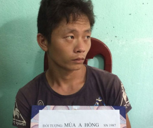 Triệt phá một đường dây ma túy cực lớn từ Lào về Việt Nam