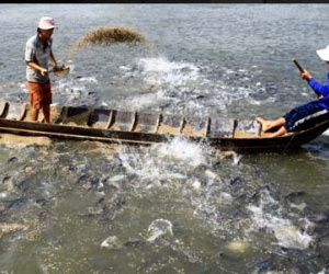 Trộn hóa chất sơn tường, dệt nhuộm để chăn nuôi