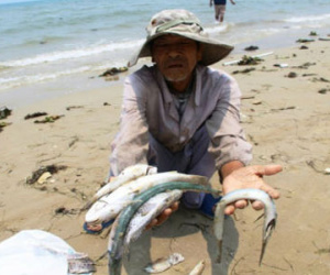 Bao giờ tiền Formosa bồi thường đến tay người dân miền Trung?
