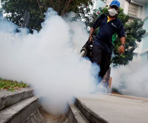 Nhiều nước khuyến cáo công dân không tới Singapore vì Zika