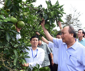 Không có chuyện như Formosa nếu thấm nhuần nguyên tắc lợi ích dân tộc