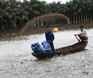 Ảnh bìa bài viết 389883