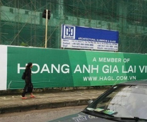 Hoàng Anh Gia Lai lên tiếng sau kết luận của kiểm toán