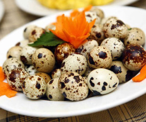 Những tác dụng không ngờ của trứng cút