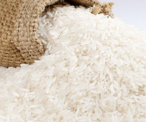 Nghịch lý: Bán gạo giá rẻ, bỏ tỷ USD mua ngô
