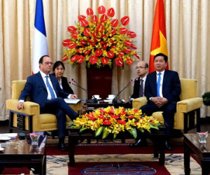 Tổng thống Pháp hội kiến Bí thư Đinh La Thăng