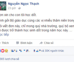 Người viết "lá đơn xin cho con học dốt" nói gì?