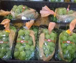 Nho xanh 1,3 triệu/kg: Đắt vô địch, Hà thành tranh mua
