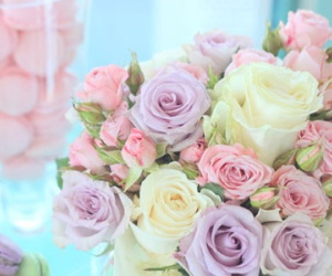 Tử vi thứ năm ngày 8/9 của các cung hoàng đạo