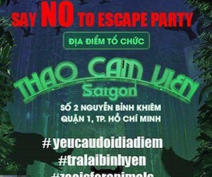 Khán giả tức giận vì tổ chức Lễ hội âm nhạc ở Thảo cầm viên Sài Gòn