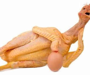Ăn thịt gà nên tránh bộ phận nào không tốt sức khỏe