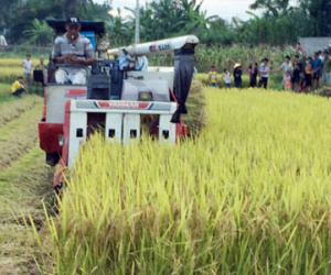 Nghệ An: Phát hiện thêm nhiều xã “ăn tiền" của chủ máy gặt
