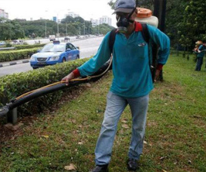 Bộ Giáo dục Malaysia cấm tham quan Singapore, Philippines vì Zika