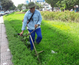 Công nhân tiếp tục cắt cỏ trên "tuyến phố 26 tỷ", tiết lộ lương "bèo"