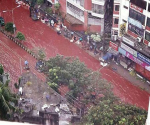 Đường phố nhuộm màu đỏ máu trong lễ hiến sinh của người Hồi giáo khiến ai cũng phải rùng mình