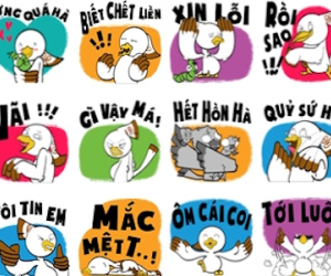 Ảnh bìa bài viết 392498
