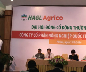Nếu không được "cứu", bầu Đức sẽ bán 20.000 ha cao su cho Trung Quốc