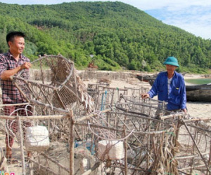 Nhiều hộ dân từ chối nhận tiền đền bù sau sự cố môi trường